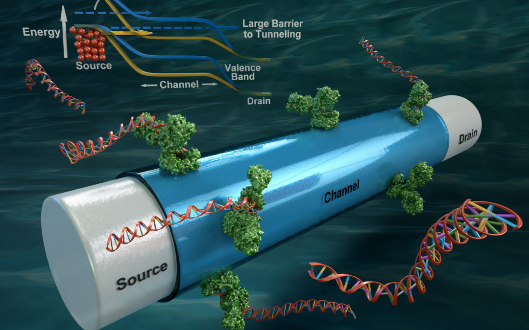 Roberto Pilloton is in the Editorial Board of “Biosensors”