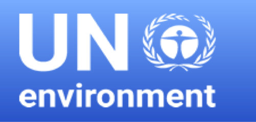 The eighth meeting of the Global Mercury Partnership Advisory Group (PAG8)