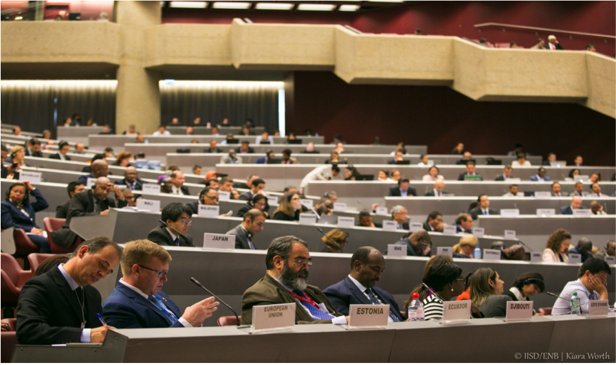International Minamata Convention – COP2