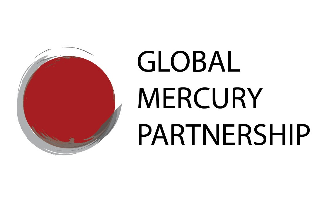 UNEP Global Mercury Partnership Advisory Group meeting 11